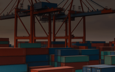 Trump Tariff Tsunami: Impact and Measures